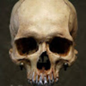 Meet your Posher, Brody